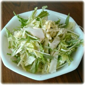 白菜と水菜の簡単サラダ